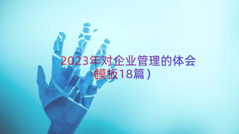 2023年对企业管理的体会（模板18篇）