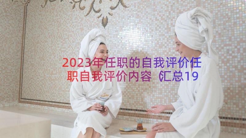 2023年任职的自我评价任职自我评价内容（汇总19篇）