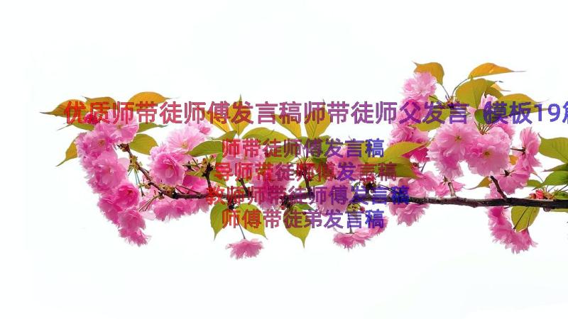 优质师带徒师傅发言稿师带徒师父发言（模板19篇）