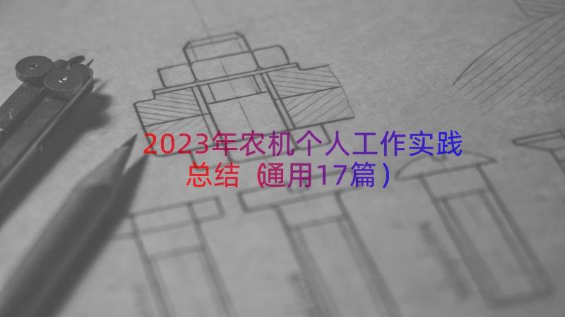 2023年农机个人工作实践总结（通用17篇）