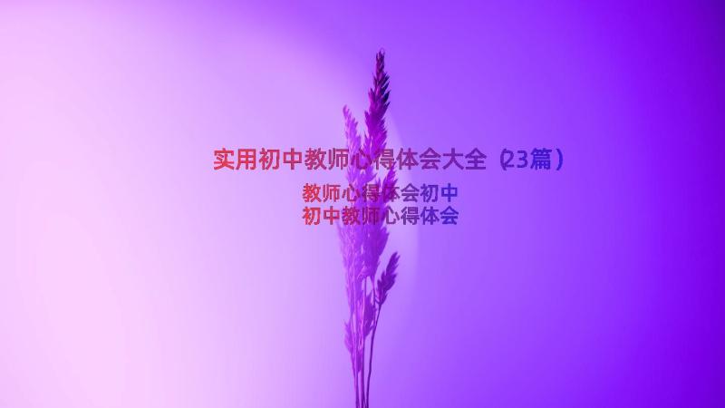 实用初中教师心得体会大全（23篇）