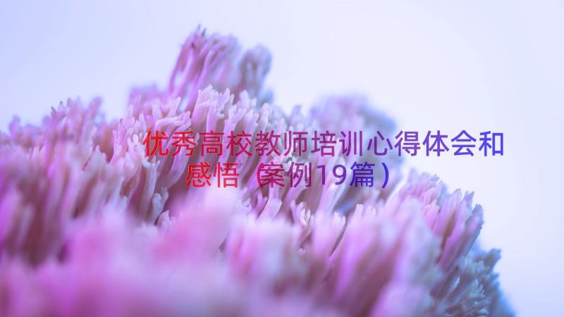 优秀高校教师培训心得体会和感悟（案例19篇）