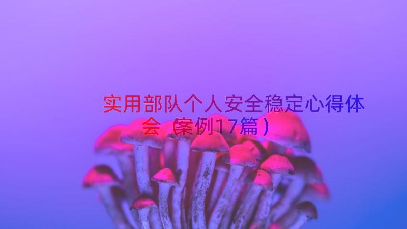 实用部队个人安全稳定心得体会（案例17篇）