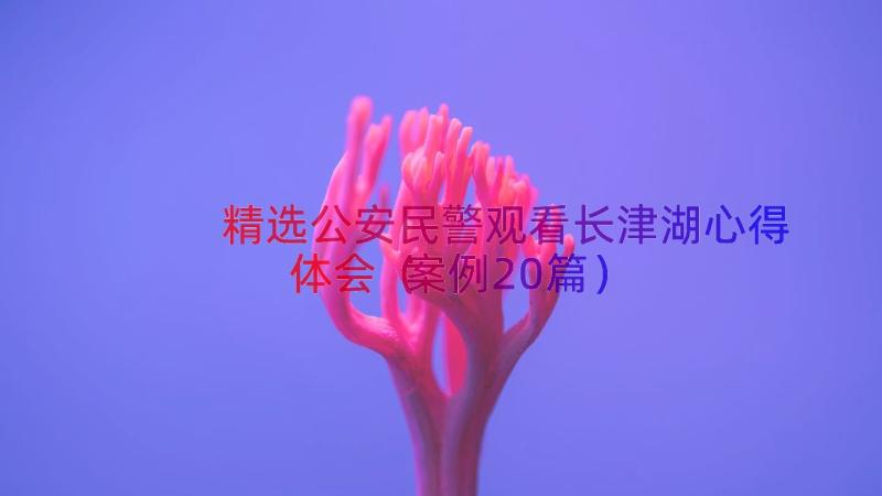 精选公安民警观看长津湖心得体会（案例20篇）