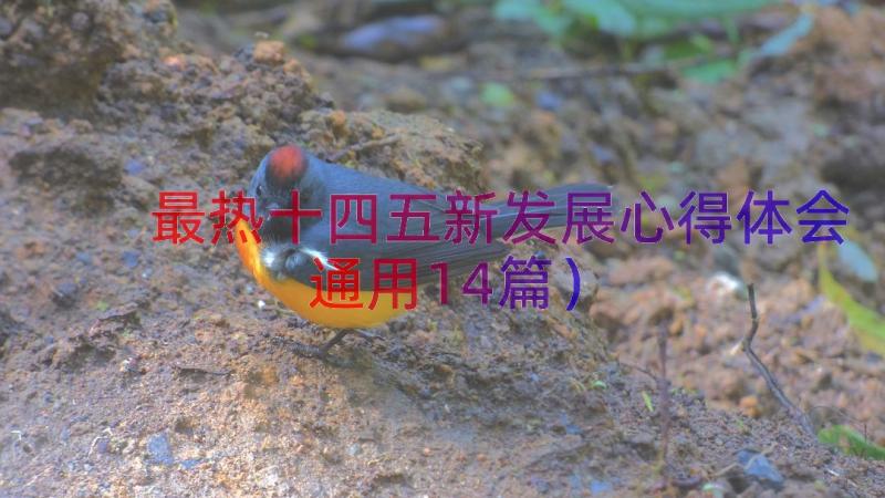 最热十四五新发展心得体会（通用14篇）