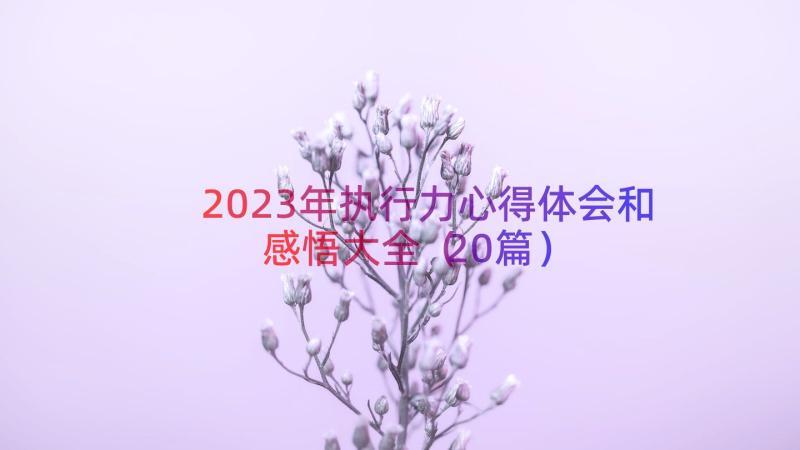 2023年执行力心得体会和感悟大全（20篇）