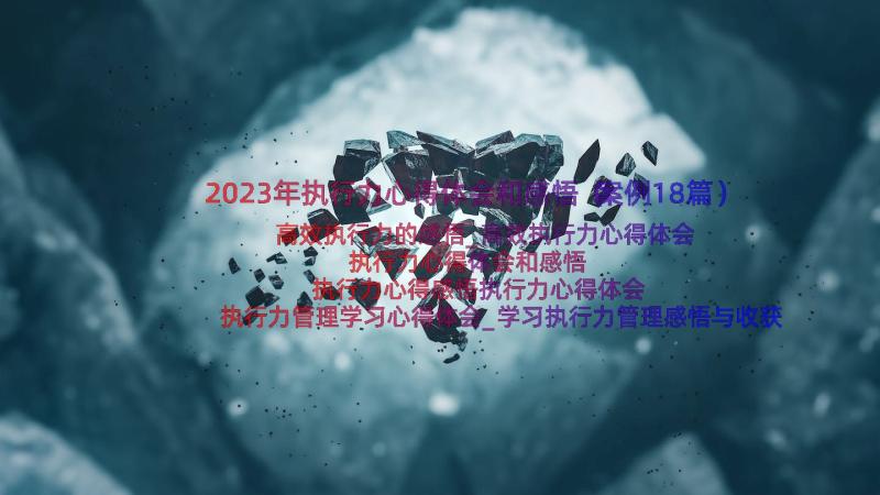 2023年执行力心得体会和感悟（案例18篇）