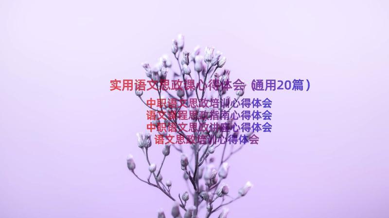 实用语文思政课心得体会（通用20篇）