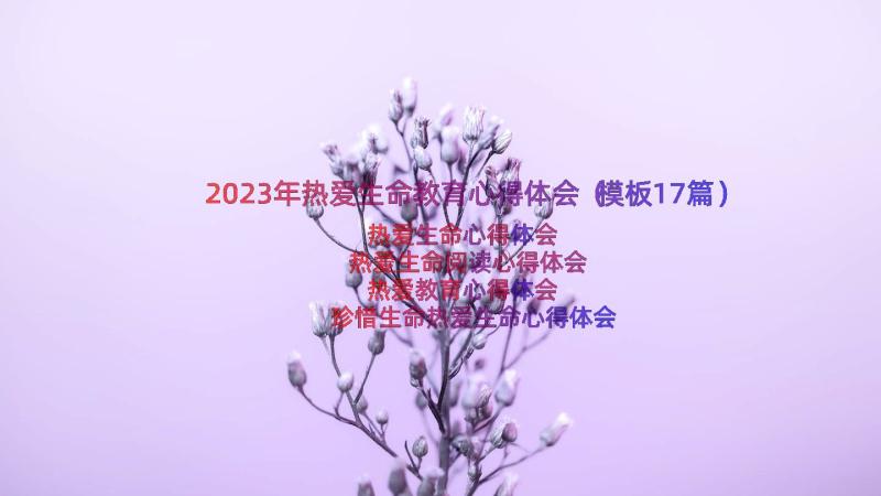 2023年热爱生命教育心得体会（模板17篇）