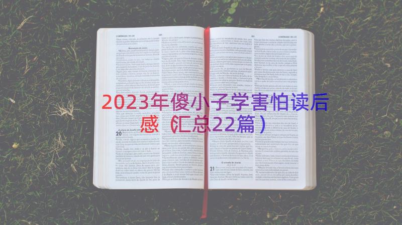 2023年傻小子学害怕读后感（汇总22篇）