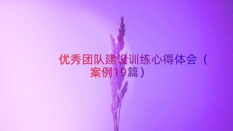 优秀团队建设训练心得体会（案例19篇）