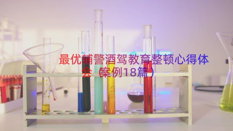 最优辅警酒驾教育整顿心得体会（案例18篇）