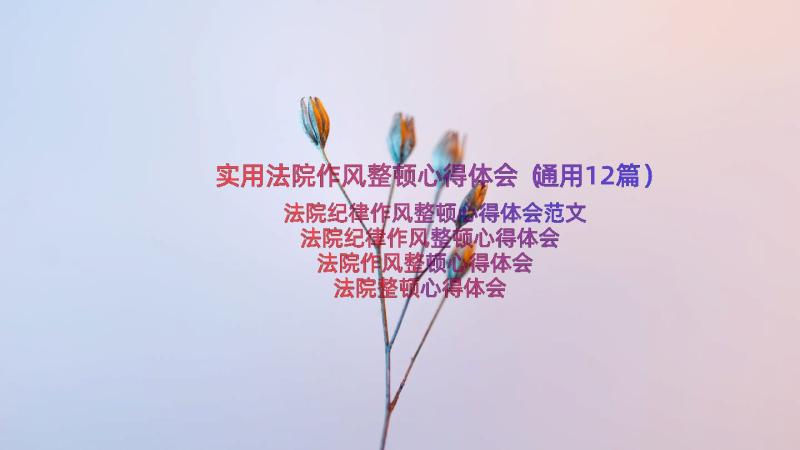 实用法院作风整顿心得体会（通用12篇）