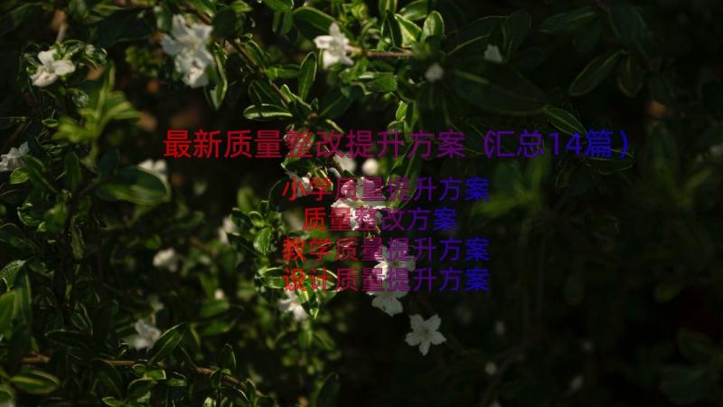 最新质量整改提升方案（汇总14篇）