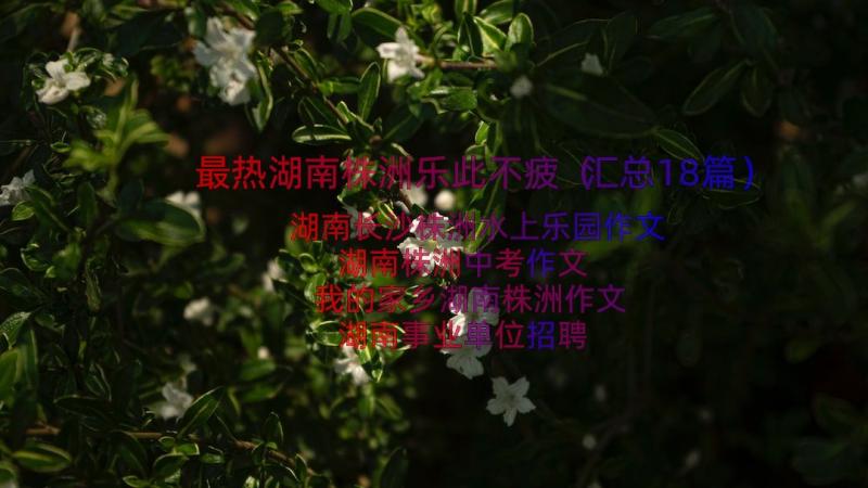 最热湖南株洲乐此不疲（汇总18篇）