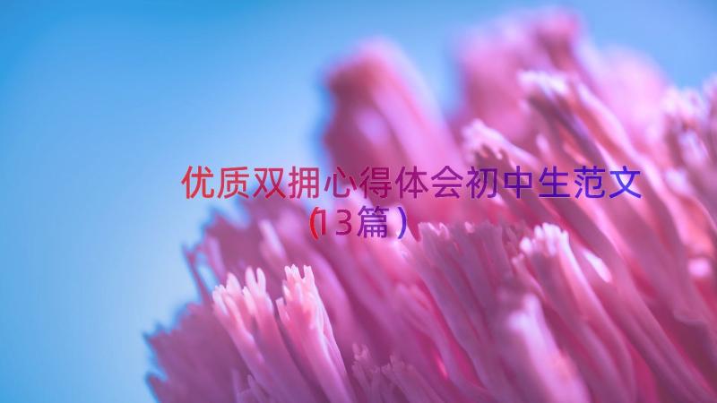 优质双拥心得体会初中生范文（13篇）