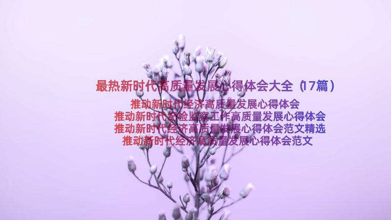 最热新时代高质量发展心得体会大全（17篇）