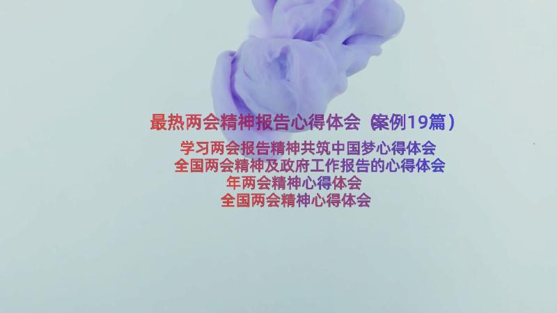 最热两会精神报告心得体会（案例19篇）