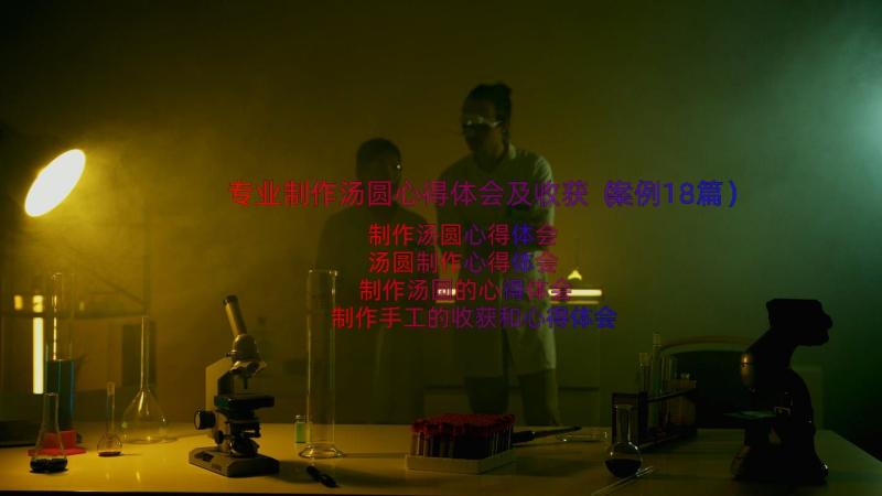 专业制作汤圆心得体会及收获（案例18篇）