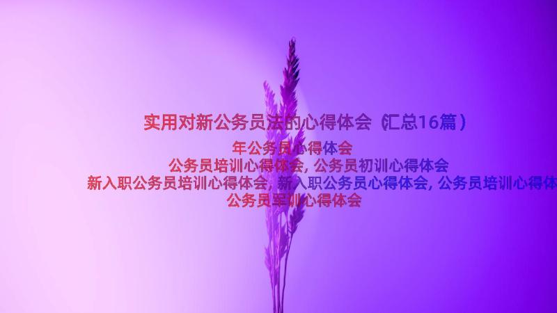 实用对新公务员法的心得体会（汇总16篇）