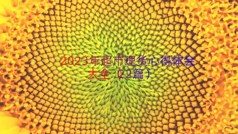 2023年超市理货心得体会大全（22篇）