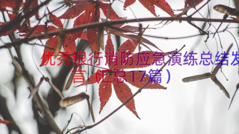 优秀银行消防应急演练总结发言（汇总17篇）