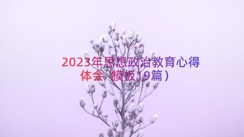 2023年思想政治教育心得体会（模板19篇）