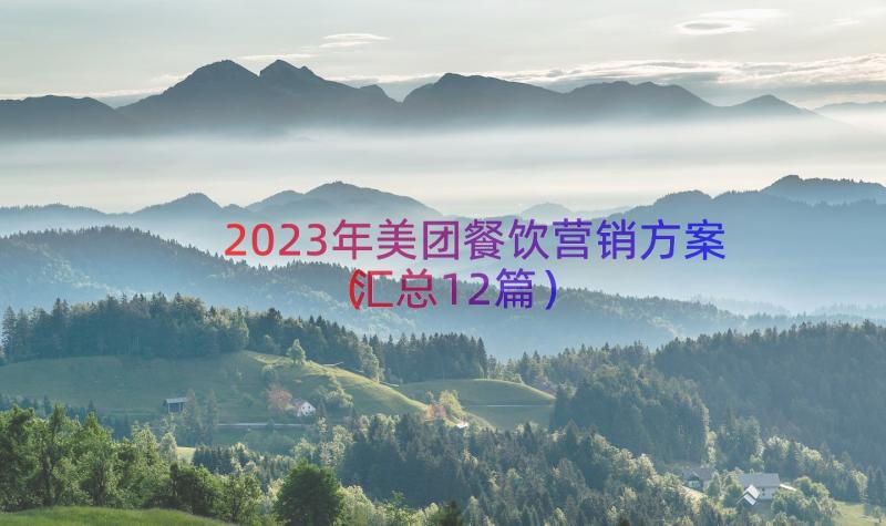 2023年美团餐饮营销方案（汇总12篇）