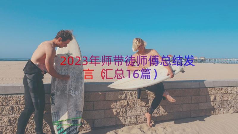 2023年师带徒师傅总结发言（汇总16篇）