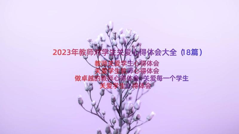 2023年教师对学生关爱心得体会大全（18篇）