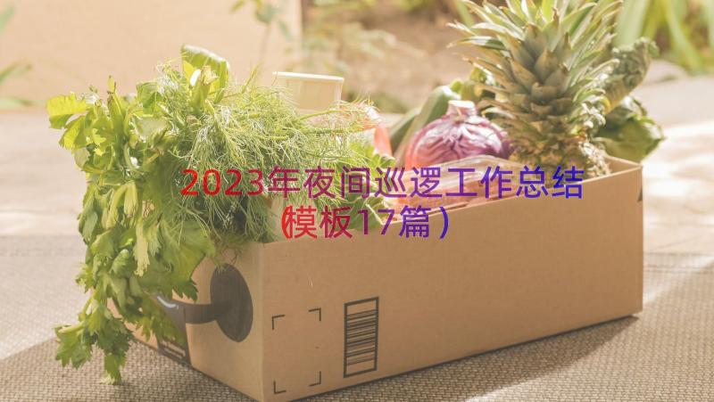 2023年夜间巡逻工作总结（模板17篇）