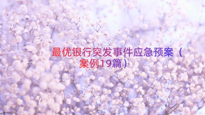 最优银行突发事件应急预案（案例19篇）