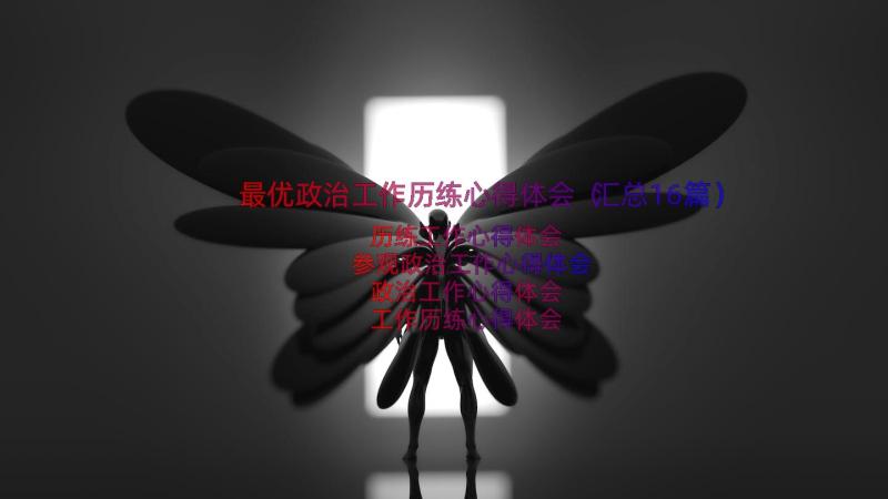 最优政治工作历练心得体会（汇总16篇）