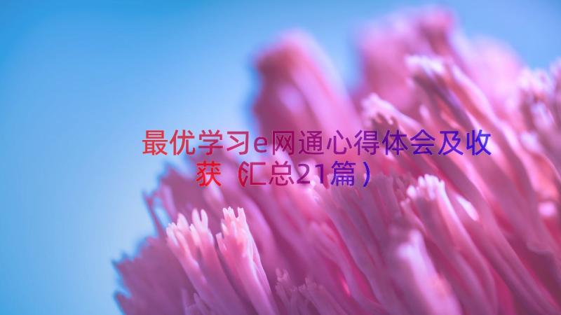 最优学习e网通心得体会及收获（汇总21篇）