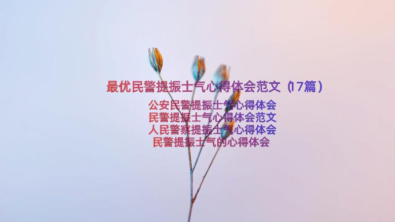 最优民警提振士气心得体会范文（17篇）