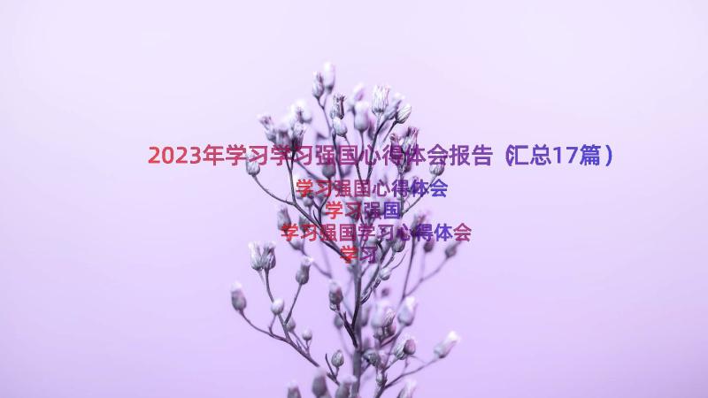 2023年学习学习强国心得体会报告（汇总17篇）