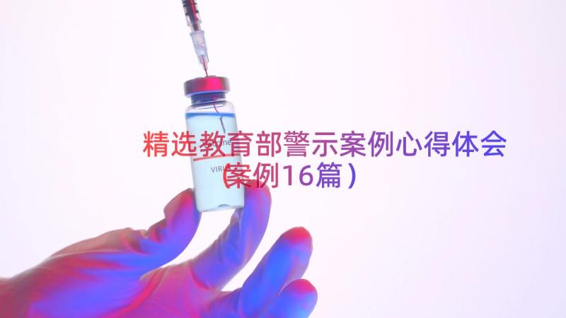 精选教育部警示案例心得体会（案例16篇）