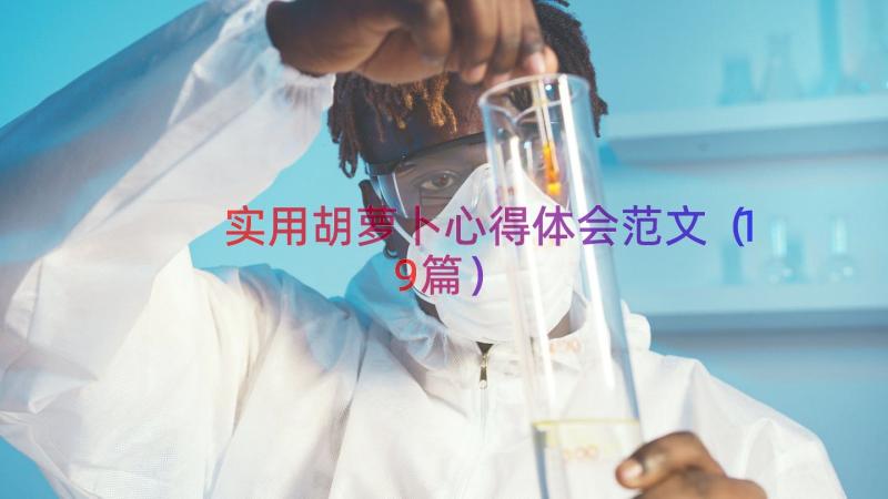 实用胡萝卜心得体会范文（19篇）