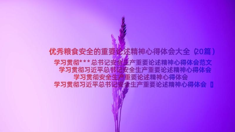 优秀粮食安全的重要论述精神心得体会大全（20篇）