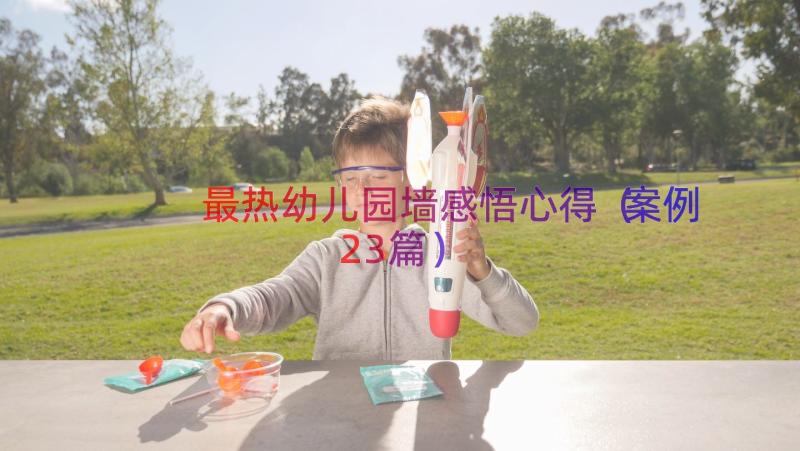 最热幼儿园墙感悟心得（案例23篇）