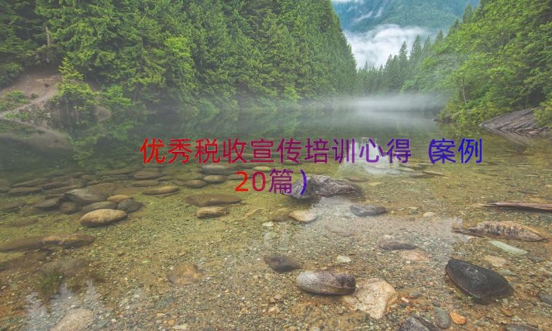 优秀税收宣传培训心得（案例20篇）