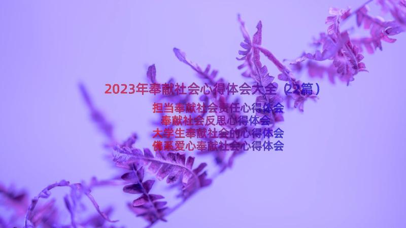 2023年奉献社会心得体会大全（22篇）