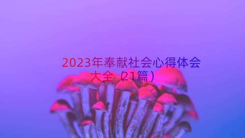 2023年奉献社会心得体会大全（21篇）