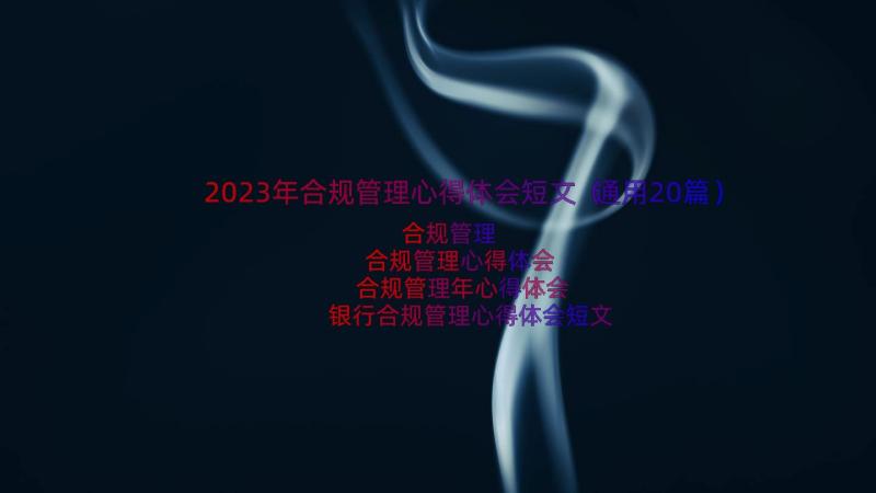 2023年合规管理心得体会短文（通用20篇）