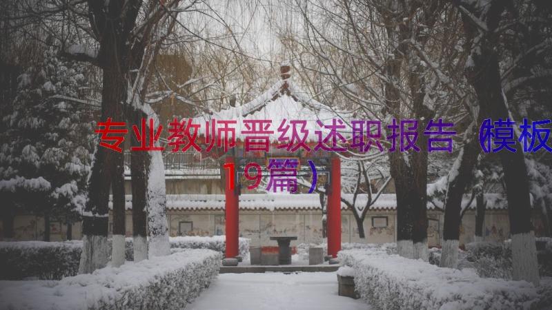 专业教师晋级述职报告（模板19篇）