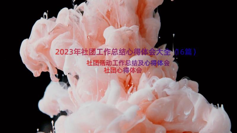 2023年社团工作总结心得体会大全（16篇）