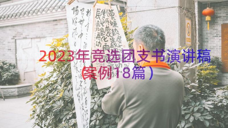 2023年竞选团支书演讲稿（案例18篇）