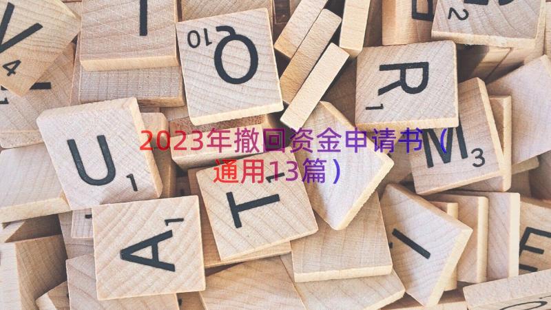 2023年撤回资金申请书（通用13篇）