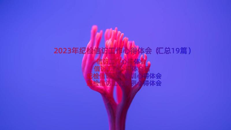 2023年纪检信访工作心得体会（汇总19篇）