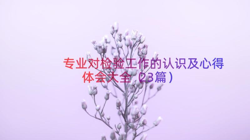 专业对检验工作的认识及心得体会大全（23篇）